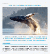 果是想和孩子打成一片